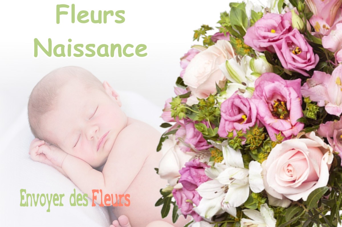 lIVRAISON FLEURS NAISSANCE à SAINT-LAURENT-LA-ROCHE